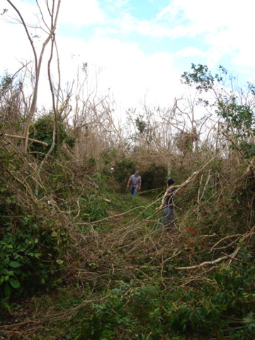 dsc00500.jpg